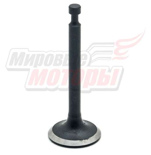 Изображение для Клапан впускной 144F