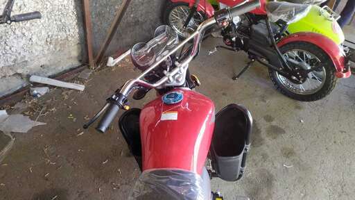 Изображение для Мопед RAID (кофр в комплекте, дуги с карманами)