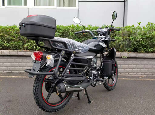 Изображение для Мопед RAID (кофр в комплекте, дуги с карманами)