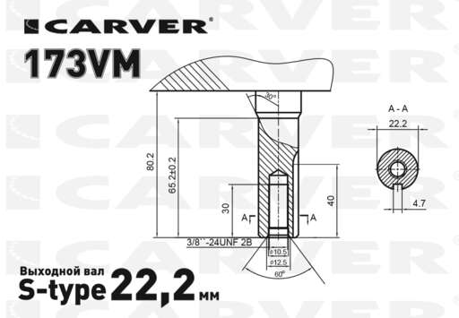 Изображение для Бензиновый двигатель CARVER 173VM (4.9 лс, 22.2 мм)