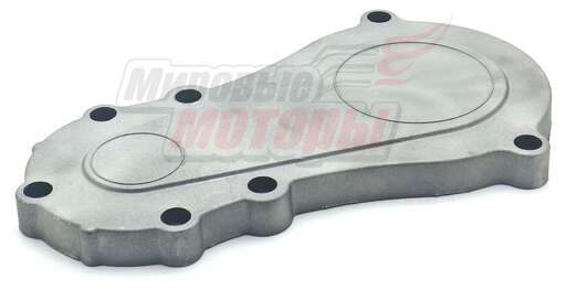 Изображение для Корпус трансмиссии цепной внешний 144F