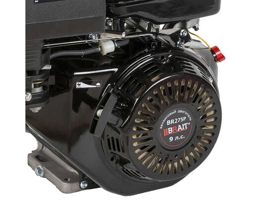 Изображение для Двигатель Brait BR275P (9 лс, 25 мм)