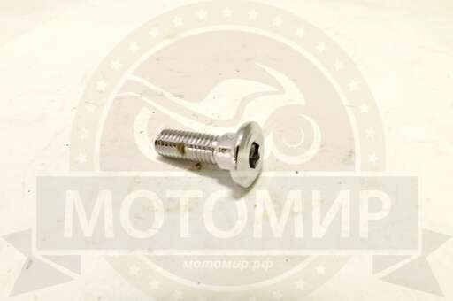 Изображение для Болт М8*25мм под дисковый тормоз специальный