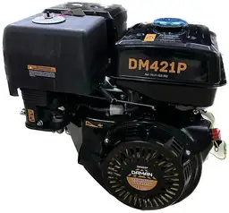 Изображение для Двигатель Daman DM421P (15 лс, 25 мм)