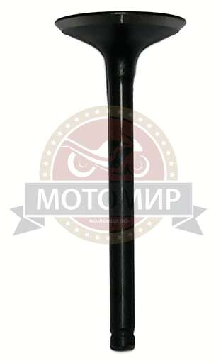 Изображение для Клапан Впускной/выпускной 1P56 FMJ-2 (Е3-14,15)