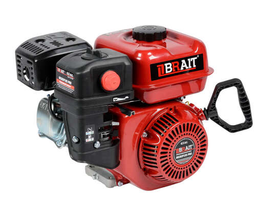 Изображение для Двигатель Brait BR202P19S PRO (6.5 лс, 19 мм)
