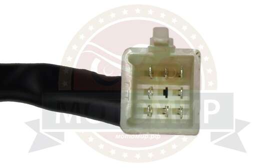 Изображение для Переключатель INTRUDER левый+правый  (36020123+36010165)