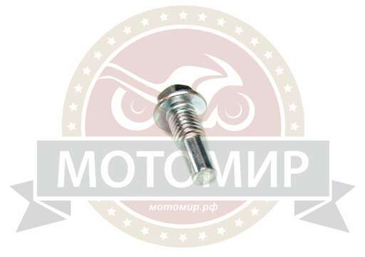 Изображение для Болт М8*20.5мм ролика  гладкого натяжителя цепи ГРМ Альфа, Zodiak среднего (в цилиндр)