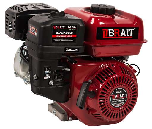 Изображение для Двигатель Brait BR202P20 PRO (6.5 лс, 20 мм)