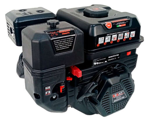 Изображение для Двигатель Brait BR202SP19 PRO SHINERAY (6.5 лс, 19 мм)
