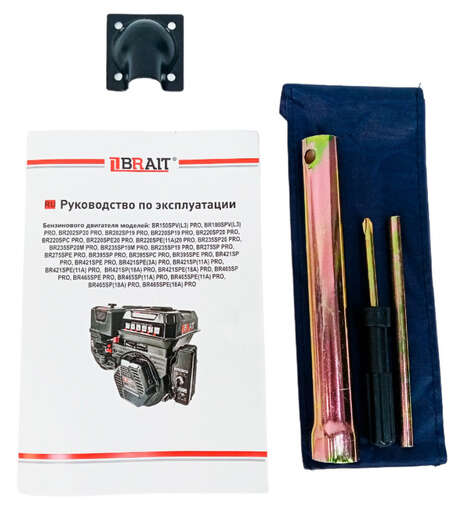 Изображение для Двигатель Brait BR202SP19 PRO SHINERAY (6.5 лс, 19 мм)