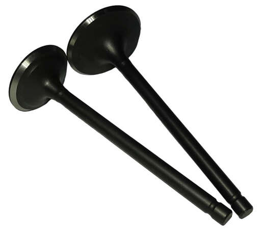 Изображение для Клапан впускной SHINERAY  VJP250-4 172FMM (22020096)