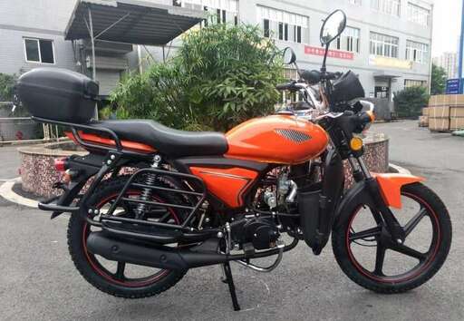 Изображение для Мопед RAID (кофр в комплекте, дуги с карманами)