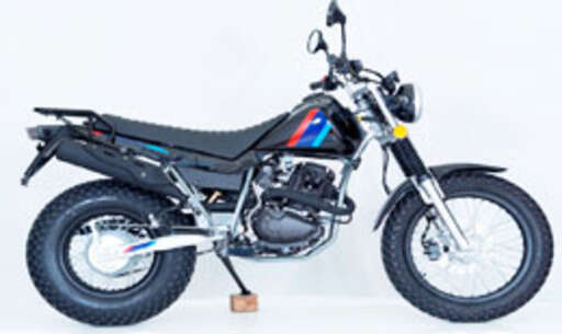 Изображение для Мотоцикл SCOUT TW200  PR с ПТС