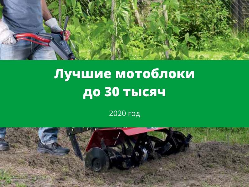 Лучшие мотоблоки до 30 тысяч на 2020 год image