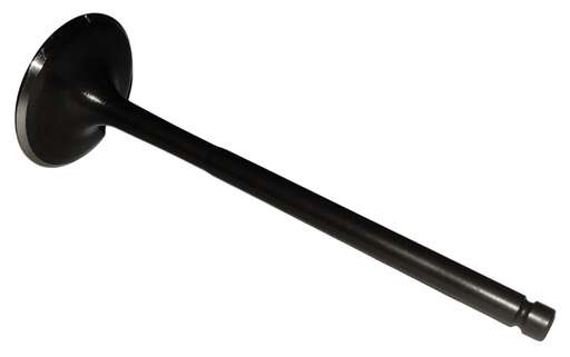 Изображение для Клапан впускной NB300  ZS (174MN-5) (100159115)