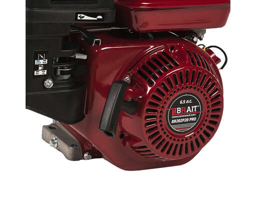 Изображение для Двигатель Brait BR202P20 PRO (6.5 лс, 20 мм)