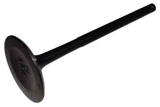 Изображение для Клапан впускной NB300  ZS (174MN-5) (100159115)