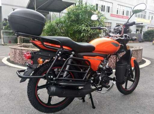 Изображение для Мопед RAID (кофр в комплекте, дуги с карманами)