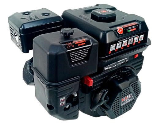 Изображение для Двигатель Brait BR202SP20 PRO SHINERAY (6.5 лс, 20 мм)