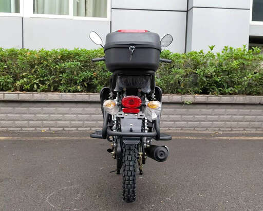 Изображение для Мопед RAID (кофр в комплекте, дуги с карманами)