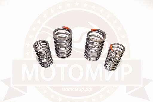 Изображение для Пружина клапана 1Р54FMI Шторм 35/33мм (2 бол+2 мал) (НАБОР)