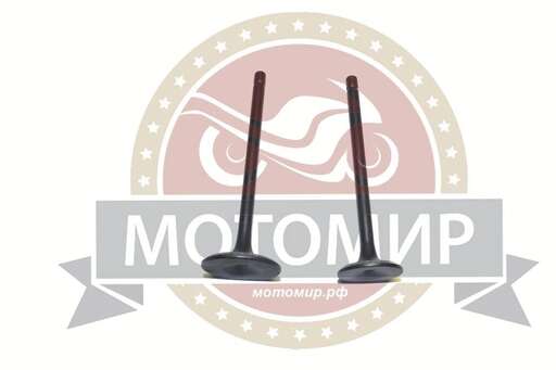 Изображение для Клапан впускной/выпускной СG150 162FMJ  (d25/92мм d30/92мм) (компл)