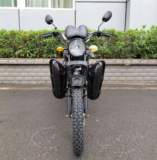 Изображение для Мопед RAID (кофр в комплекте, дуги с карманами)