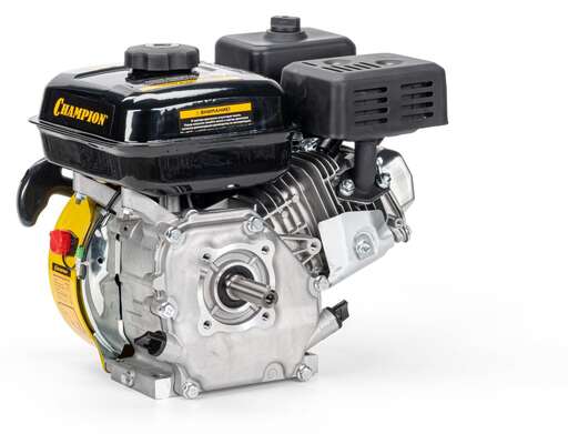 Изображение для Двигатель CHAMPION (5.5 лс, 19.05 мм)