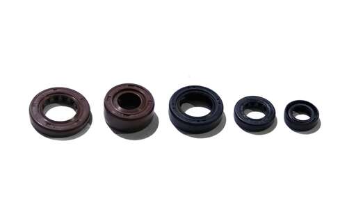 Изображение для Набор сальников ZS190E (ZS1P62YML-2) (5шт)