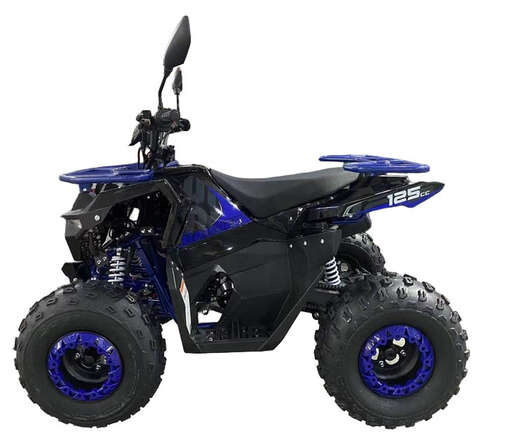Изображение для Квадроцикл ИжтехМаш HAMMER 125 CAST WHEELS (Машинокомплект (ATV) серия 3)