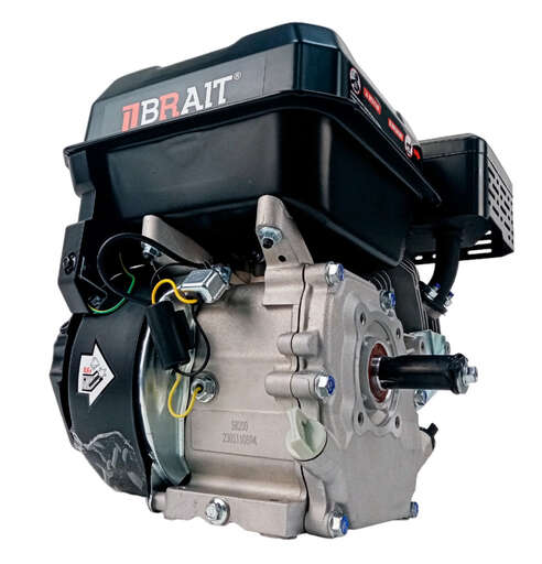 Изображение для Двигатель Brait BR202SP20 PRO SHINERAY (6.5 лс, 20 мм)