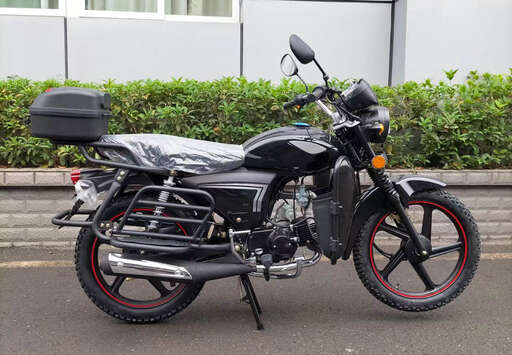 Изображение для Мопед RAID (кофр в комплекте, дуги с карманами)