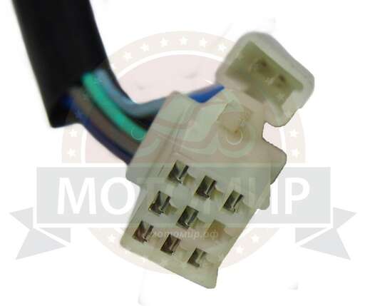 Изображение для Переключатель INTRUDER левый+правый  (36020123+36010165)