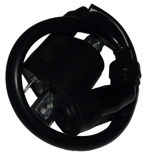 Изображение для Катушка зажигания ROADSTER RA1 с проводом и свечным колпачком  (81100-J0A2-0000)(НАБОР)