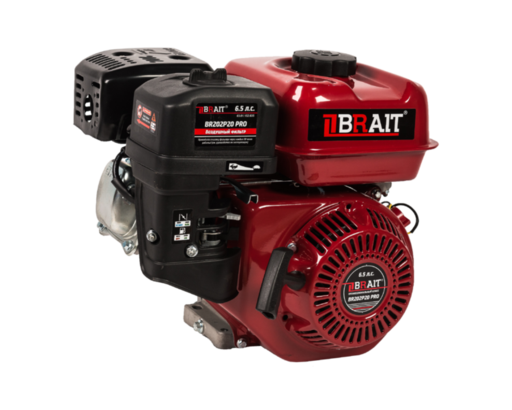 Изображение для Двигатель Brait BR202P20 PRO (6.5 лс, 20 мм)