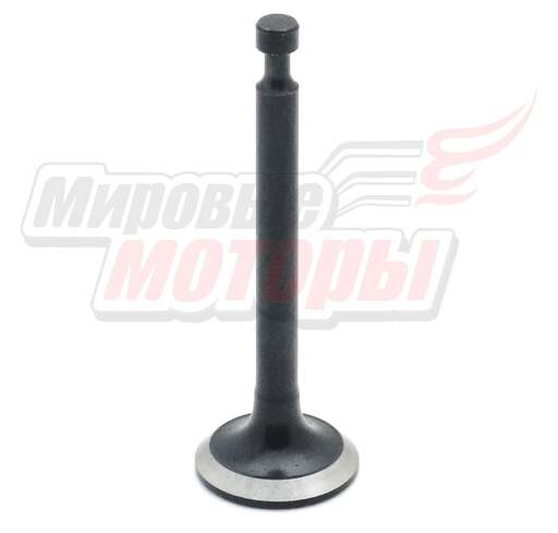 Изображение для Клапан выпускной 144F