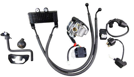 Изображение для Двигатель Dingo180 4х такт.180 см3 161QMJ (GY6-180)моноблок с редуктор. в сб. и масл. охлажд.,реверс