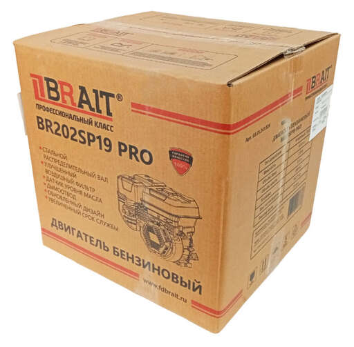 Изображение для Двигатель Brait BR202SP19 PRO SHINERAY (6.5 лс, 19 мм)