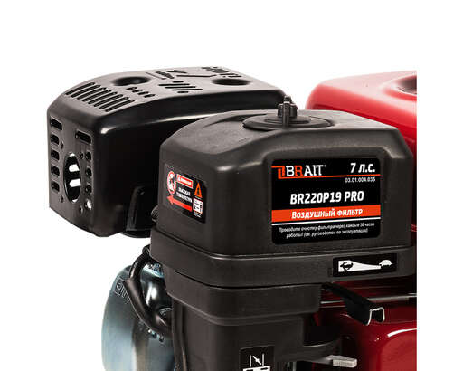 Изображение для Двигатель Brait BR220P19 PRO (7 лс, 19.05 мм)