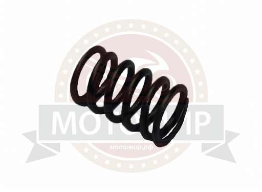Изображение для Пружина клапана R07-GY60  24мм